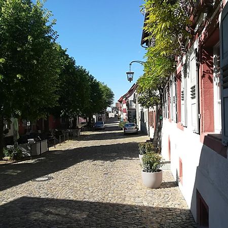 Ferienhaus Nostalgie Vogtsburg Kültér fotó