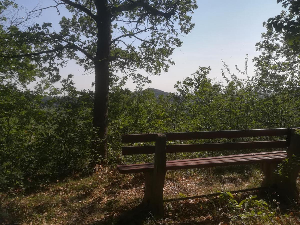 Ferienhaus Nostalgie Vogtsburg Kültér fotó