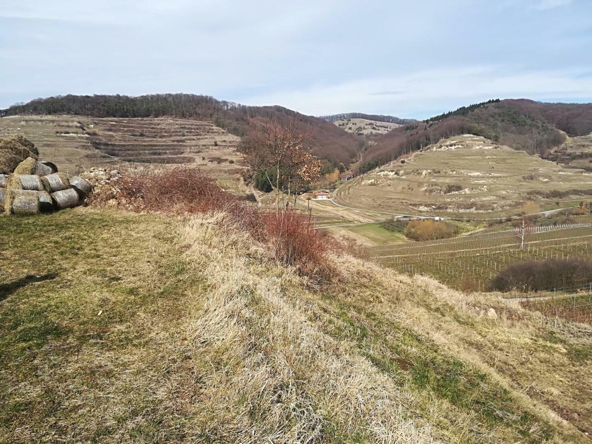 Ferienhaus Nostalgie Vogtsburg Kültér fotó